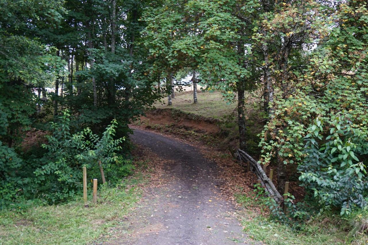 Cabanas Am Berg Pucon Luaran gambar