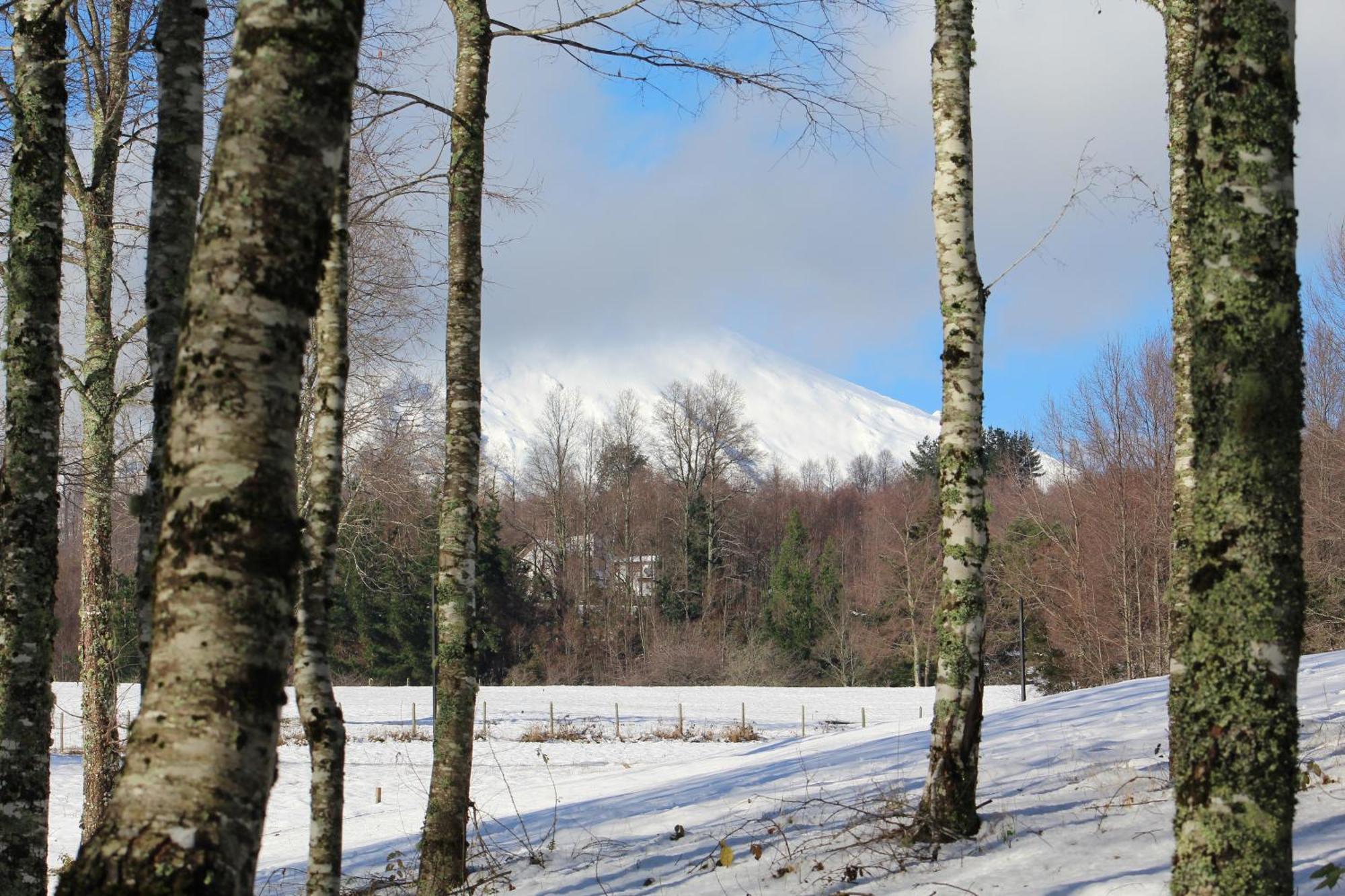 Cabanas Am Berg Pucon Luaran gambar