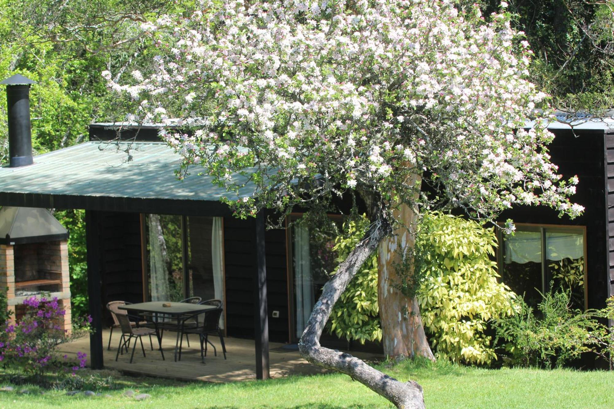 Cabanas Am Berg Pucon Luaran gambar