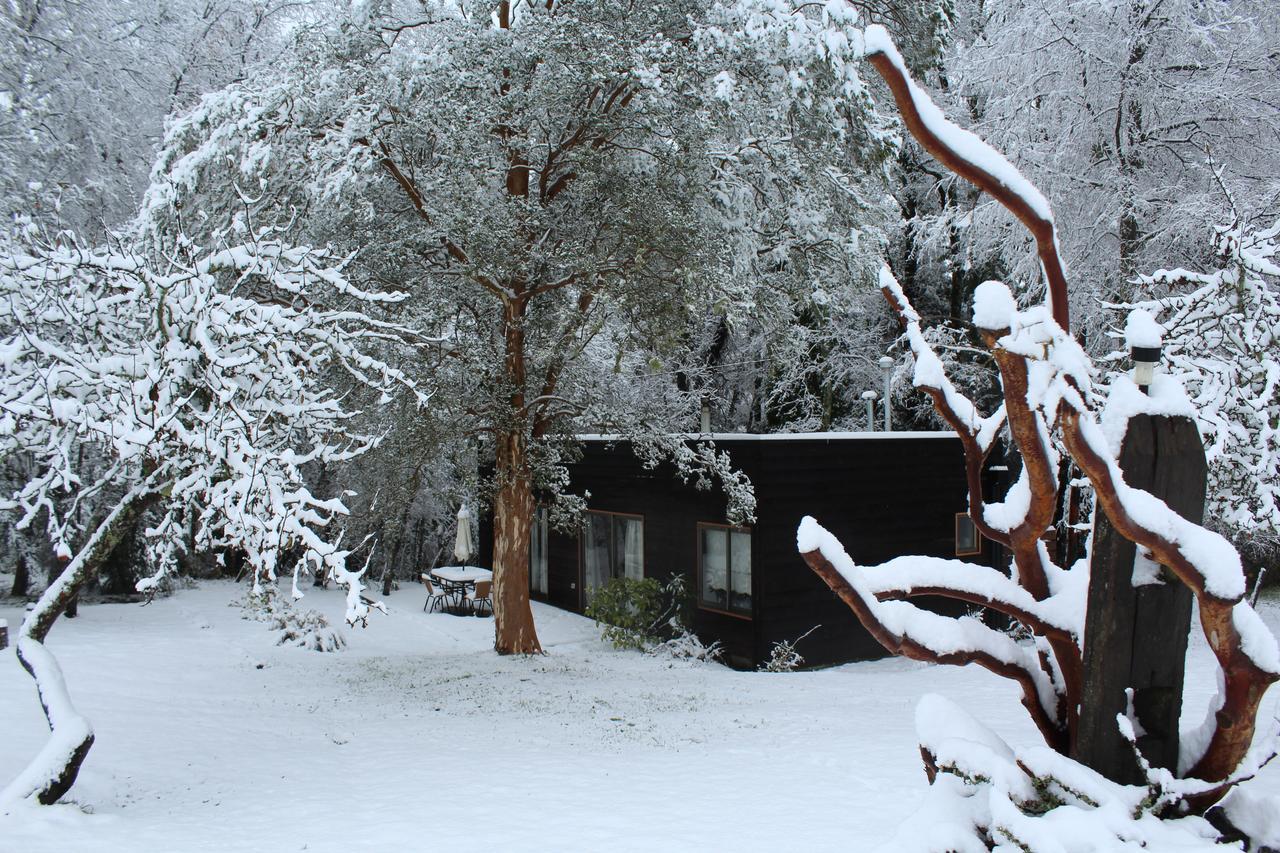 Cabanas Am Berg Pucon Luaran gambar